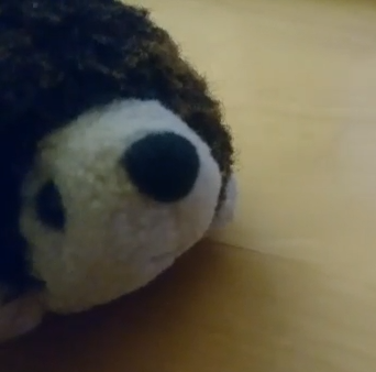 Igor_der_Igel