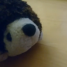 Igor_der_Igel