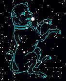 Starlit Canis Starlit Canis