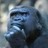 thinkmonkey