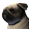 baddog117