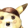 Bonocop
