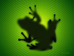 hoppingfroggy