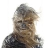 ChewBobcca