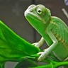 RTOToxic