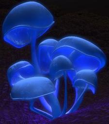 Dewdrop69