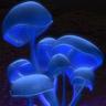 Dewdrop69