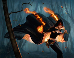 darkfire630