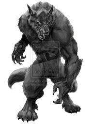 Aiden_Stark