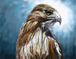 crrrazyhawk