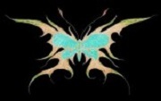 xphoenix14