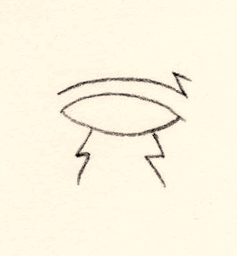 The Eyes The Eyes