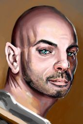 Snyderart