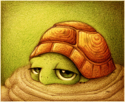 Turtle72