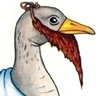 thebeardedgoose