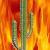 CactusOfDoom