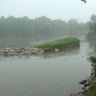Iarien