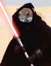 darthstoat
