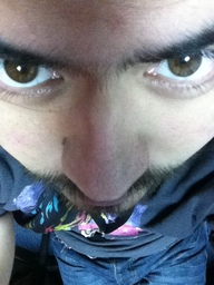 alfredopiguave