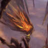 Du3lingdragon