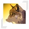 twotonewolf