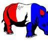 AmericanRhino