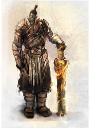 Greykorr