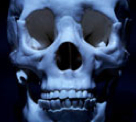 TheSkullPirate