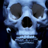 TheSkullPirate