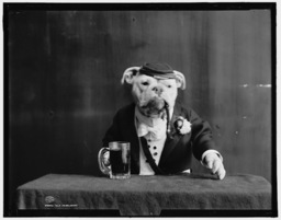 mrbarky