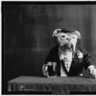 mrbarky